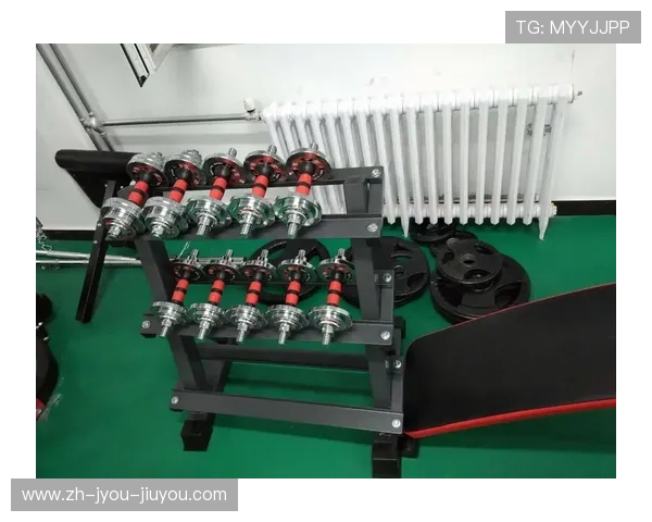 武汉健身器材购买地点与选择建议：如何在武汉购买到适合的器材